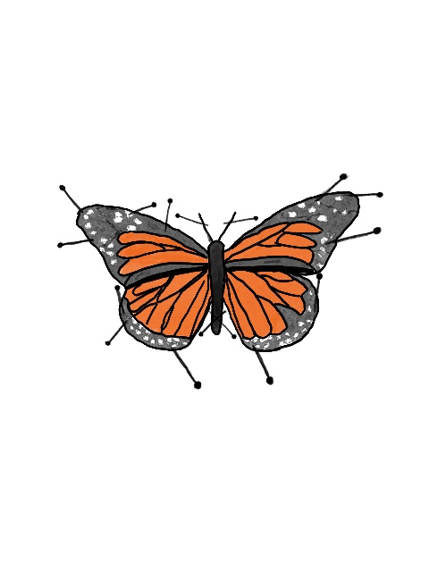 a digital art drawing of a pinned monarch butterfly