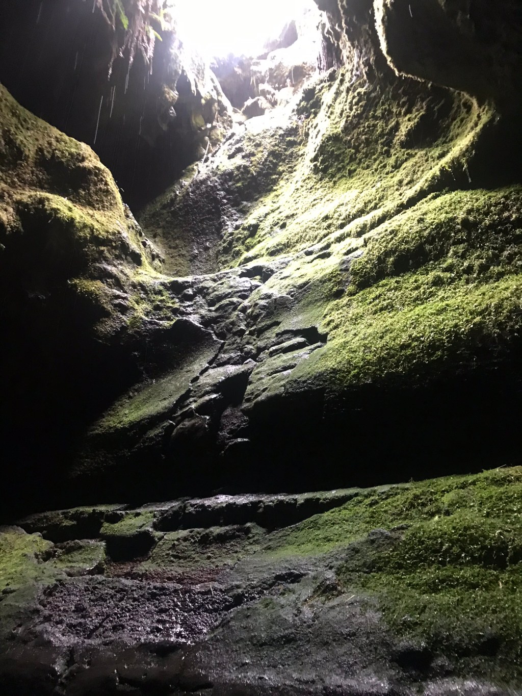 A photo of a moss covered cavern within a cave system, where a beacon of daylight shines through a hole in the ground above.
